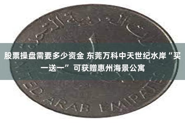 股票操盘需要多少资金 东莞万科中天世纪水岸“买一送一” 可获赠惠州海景公寓