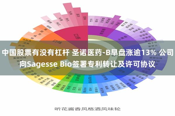 中国股票有没有杠杆 圣诺医药-B早盘涨逾13% 公司向Sagesse Bio签署专利转让及许可协议