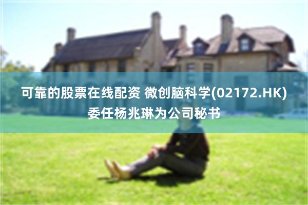 可靠的股票在线配资 微创脑科学(02172.HK)委任杨兆琳为公司秘书