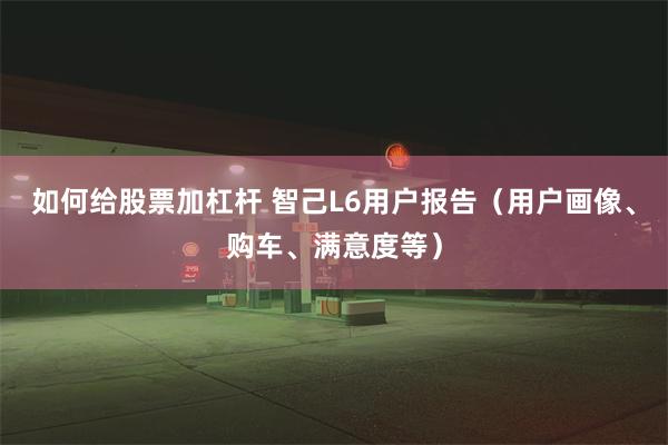 如何给股票加杠杆 智己L6用户报告（用户画像、购车、满意度等）