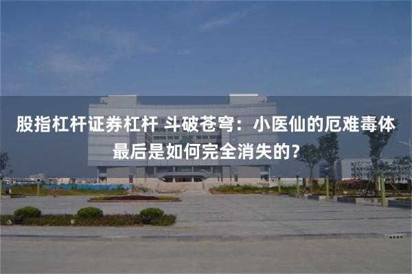 股指杠杆证券杠杆 斗破苍穹：小医仙的厄难毒体最后是如何完全消失的？