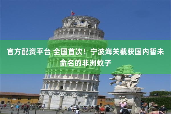 官方配资平台 全国首次！宁波海关截获国内暂未命名的非洲蚊子