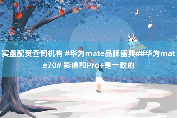 实盘配资查询机构 #华为mate品牌盛典##华为mate70# 影像和Pro+是一致的