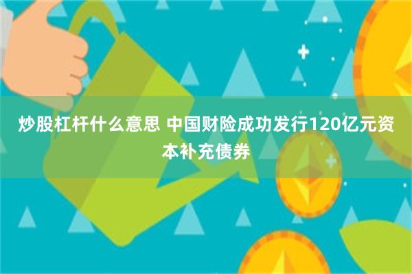 炒股杠杆什么意思 中国财险成功发行120亿元资本补充债券