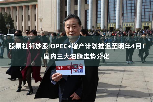 股票杠杆炒股 OPEC+增产计划推迟至明年4月！国内三大油脂走势分化