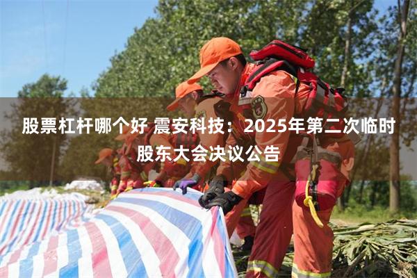 股票杠杆哪个好 震安科技：2025年第二次临时股东大会决议公告