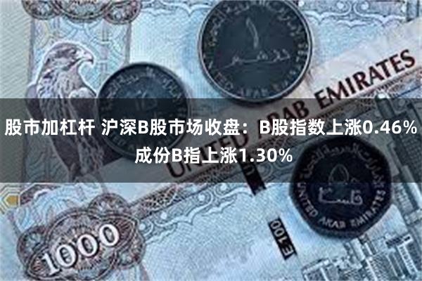 股市加杠杆 沪深B股市场收盘：B股指数上涨0.46% 成份B指上涨1.30%